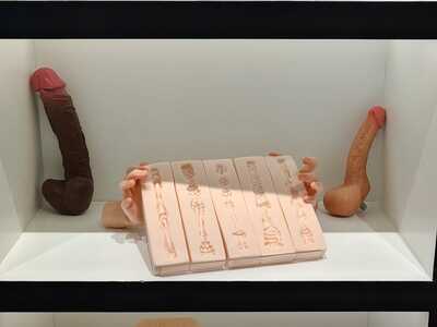 tipos de vagina