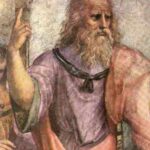 David11